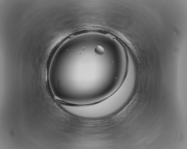 X0000111011269200906191604