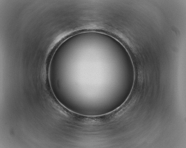 X0000111011270200906191604