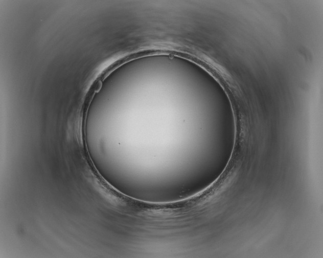 X0000111011272200906191604