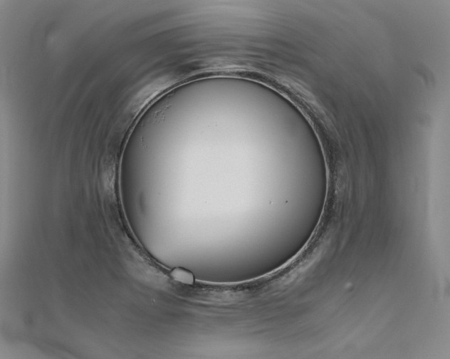 X0000111011273200906191604