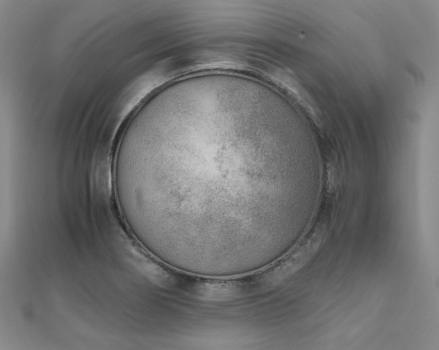 X0000111011274200906191604
