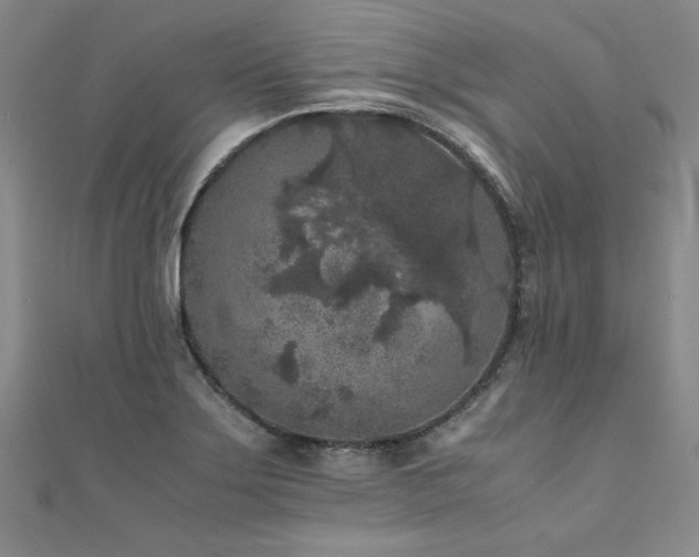 X0000111011275200906191604