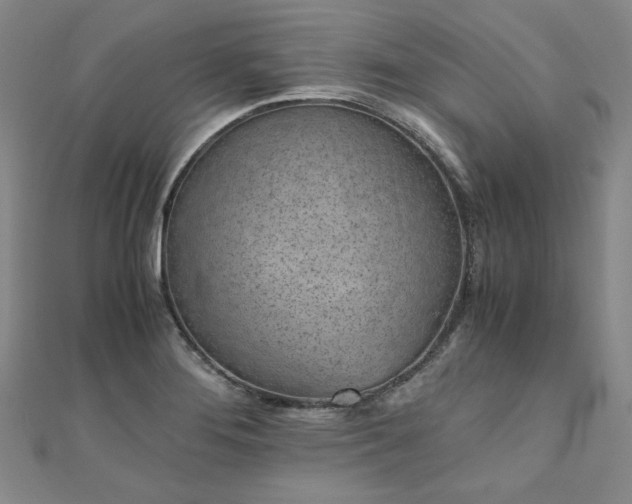 X0000111011276200906191604