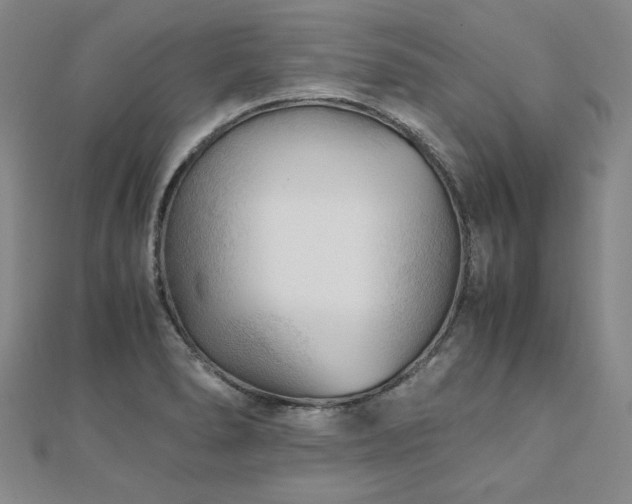X0000111011278200906191604