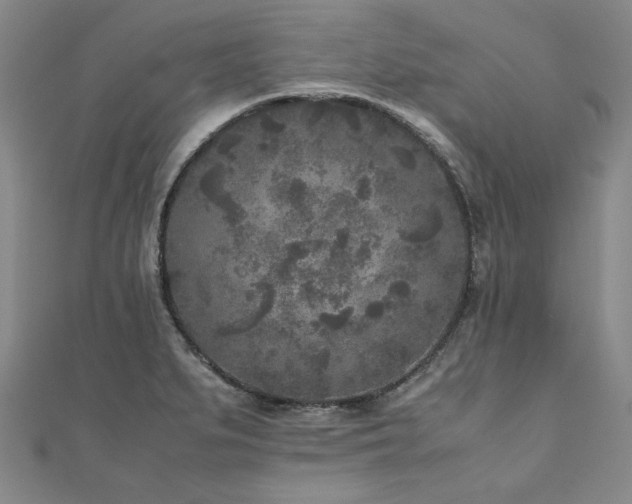 X0000111011279200906191604