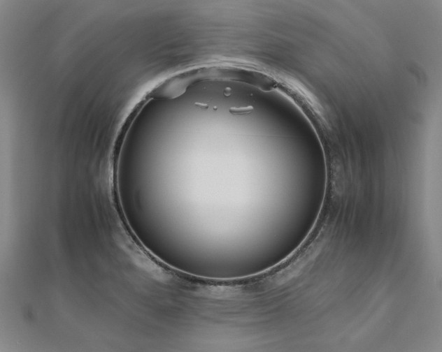 X0000111011280200906191604