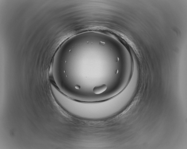 X0000111011281200906191604