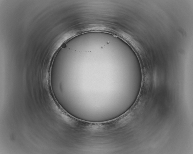 X0000111011282200906191604