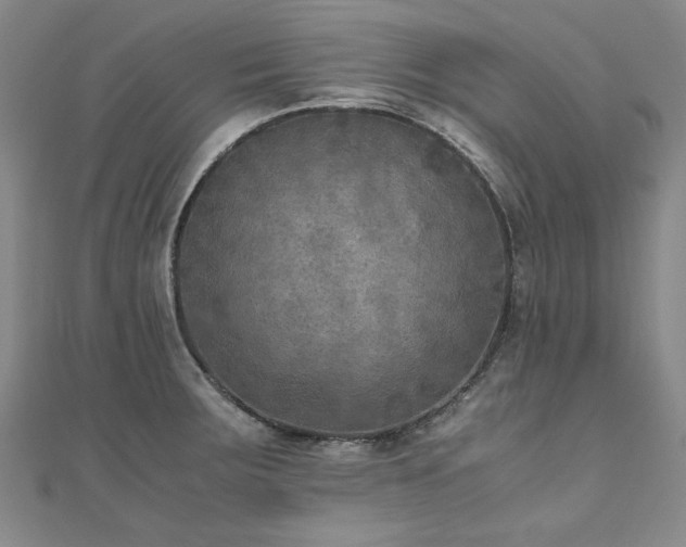 X0000111011283200906191604