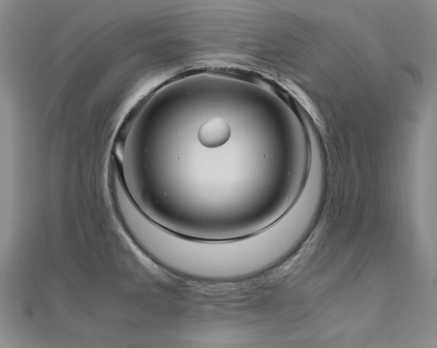 X0000111011285200906191604