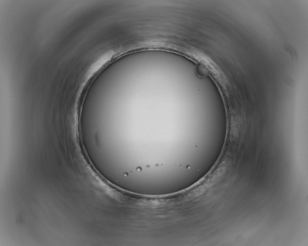 X0000111011286200906191604