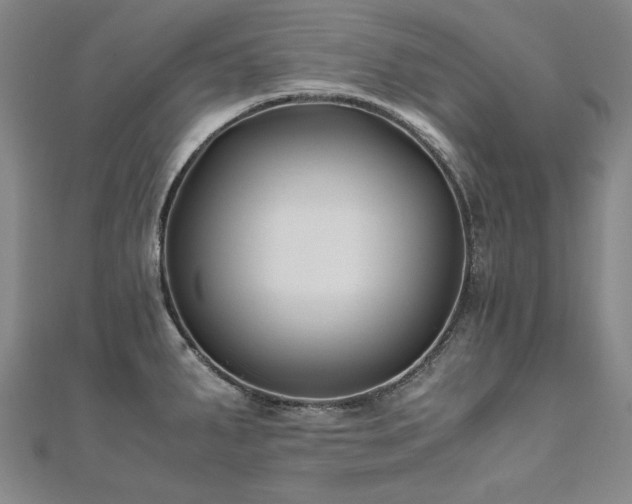 X0000111011287200906191604