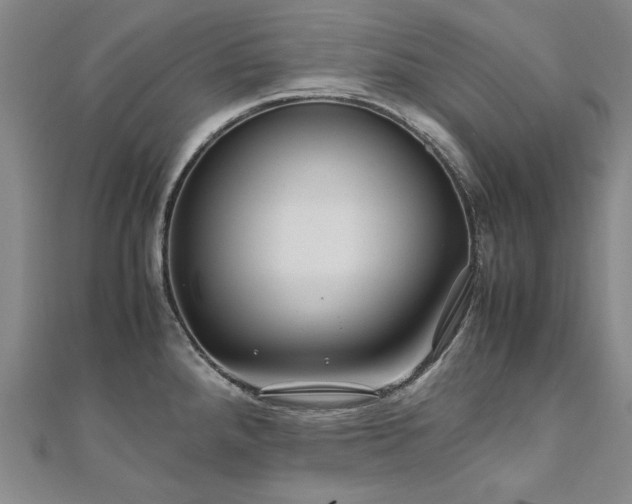 X0000111011288200906191604