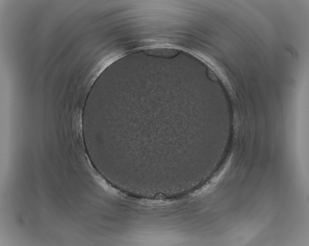 X0000111011289200906191604