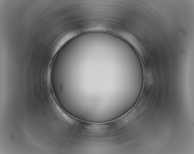 X0000111011290200906191604