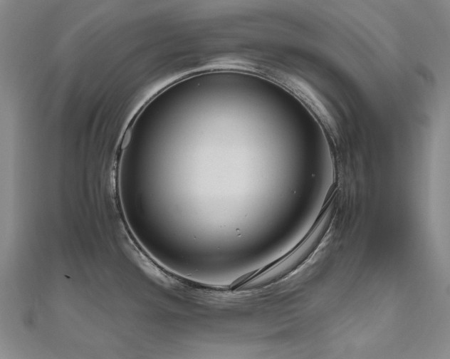 X0000111011292200906191604