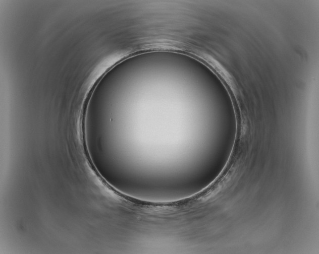 X0000111011293200906191604
