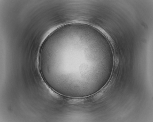 X0000111011294200906191604