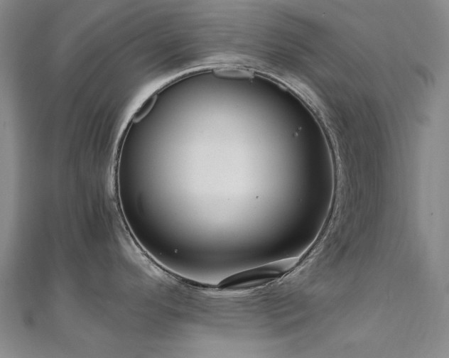 X0000111011296200906191604