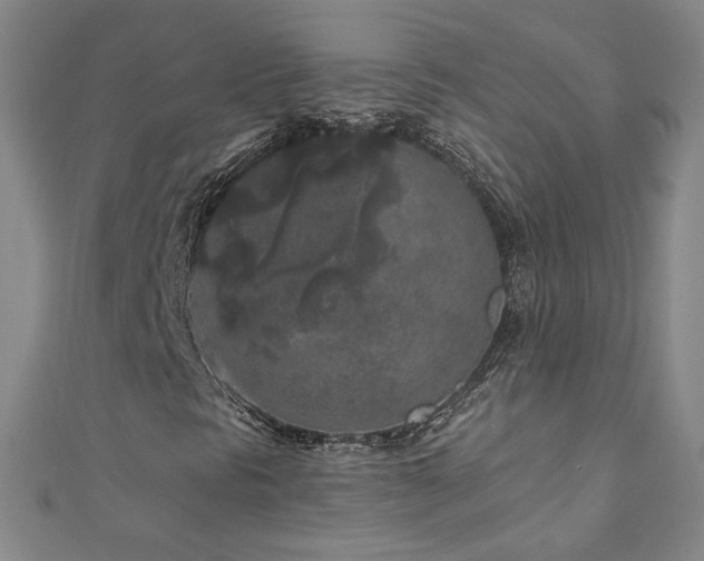 X0000111011297200906191603