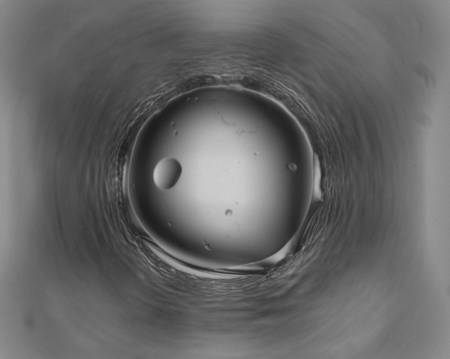 X0000111011298200906191603