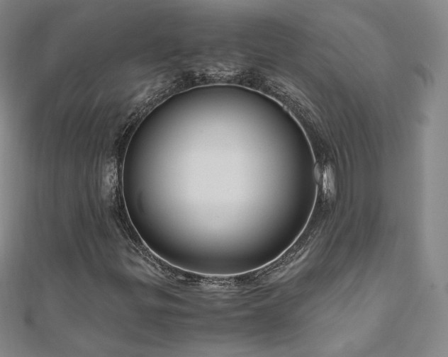 X0000111011299200906191603