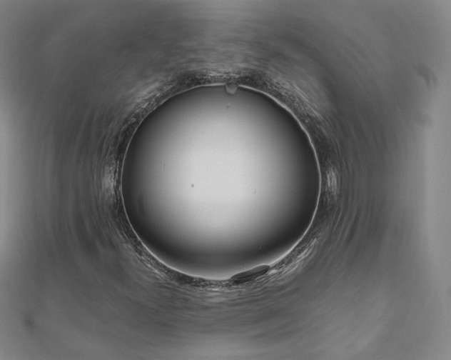 X0000111011300200906191603