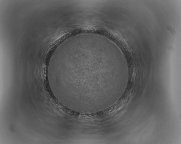 X0000111011301200906191603