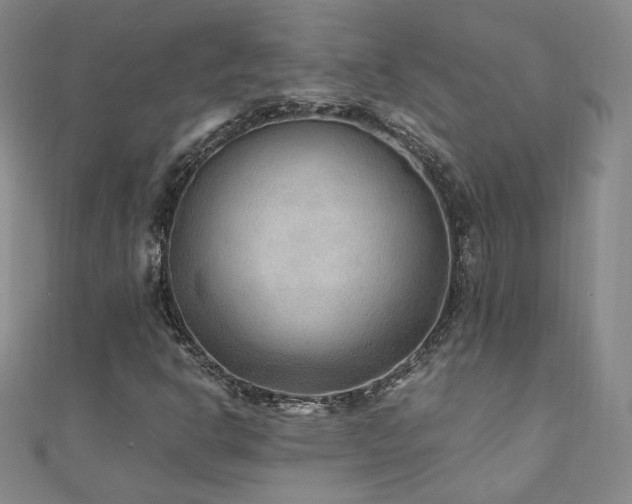 X0000111011302200906191603