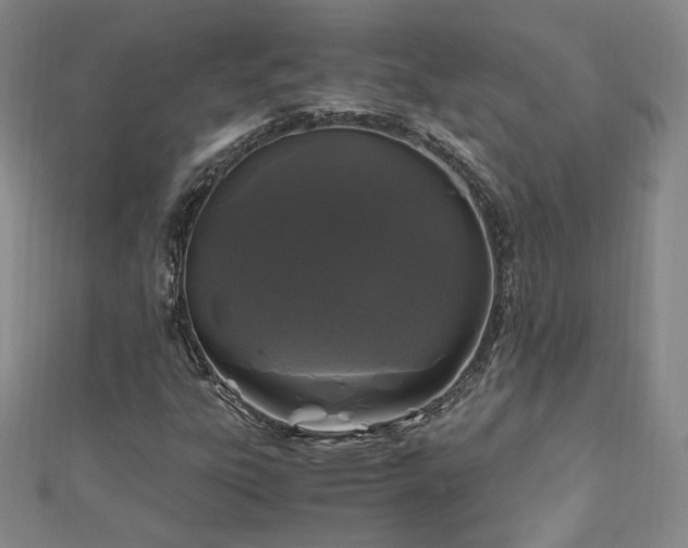X0000111011303200906191603