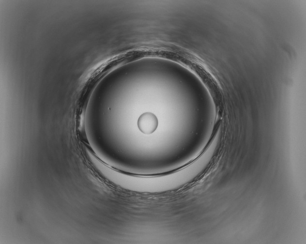 X0000111011304200906191603