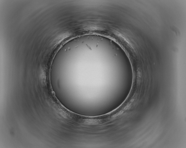 X0000111011305200906191603