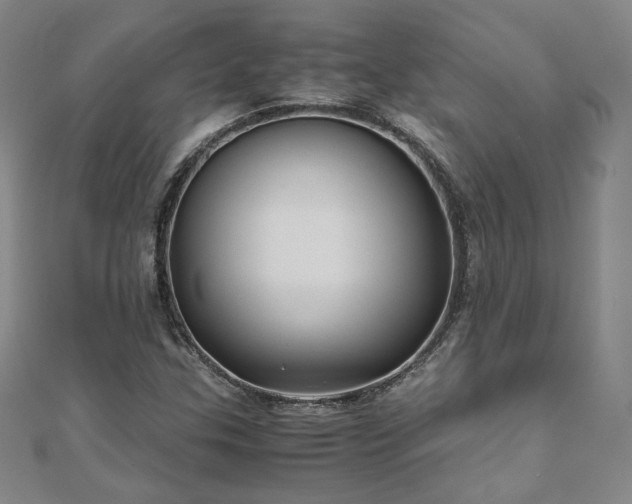 X0000111011307200906191603