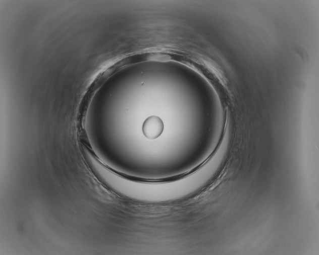 X0000111011308200906191603