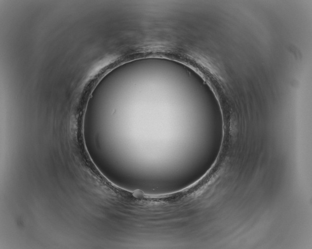 X0000111011309200906191603