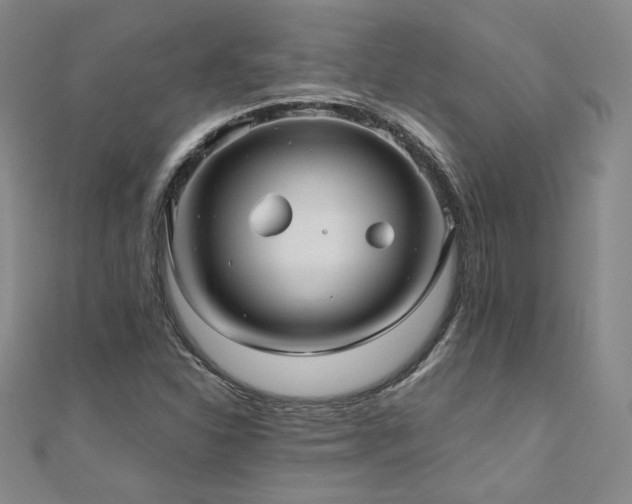 X0000111011310200906191603