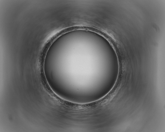 X0000111011311200906191603