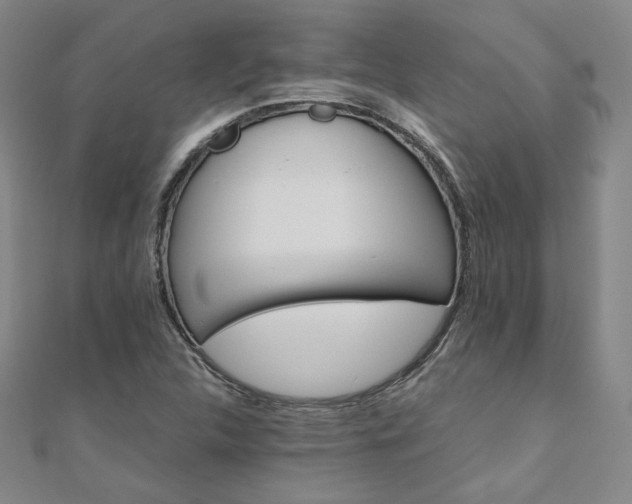 X0000111011312200906191603
