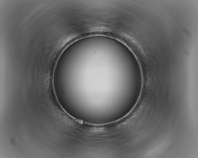 X0000111011313200906191603