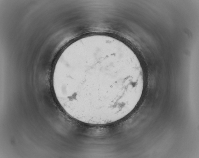 X0000111011314200906191603