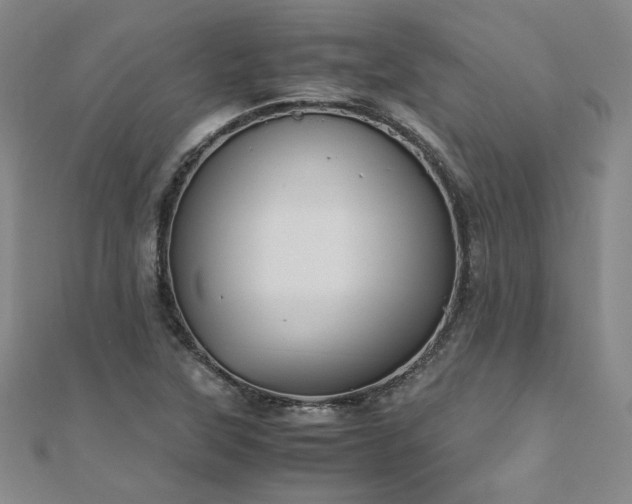 X0000111011315200906191603