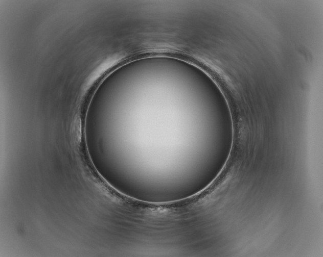 X0000111011317200906191603
