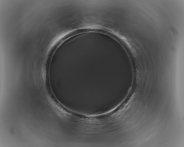 X0000111011319200906191603