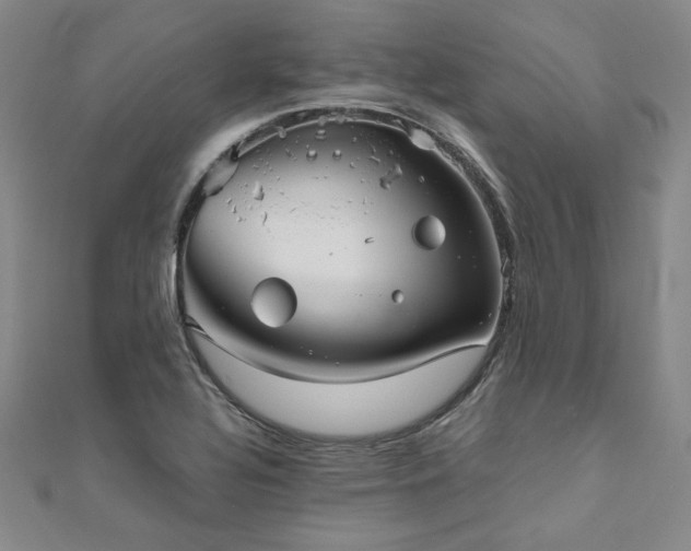X0000111011320200906191603