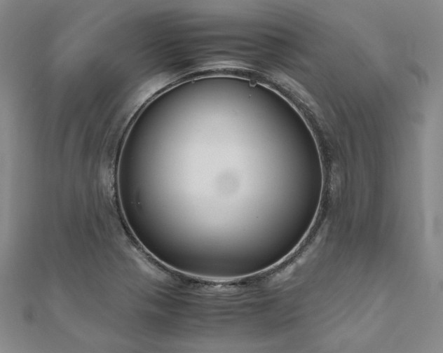 X0000111011321200906191603