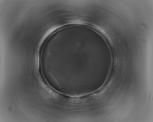 X0000111011323200906191603
