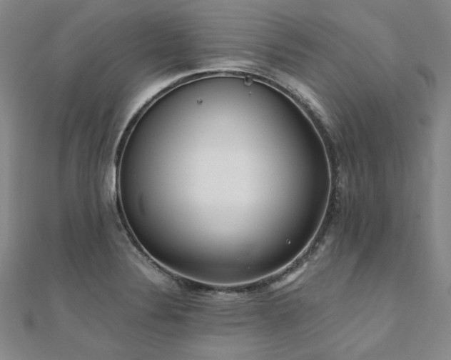 X0000111011324200906191603