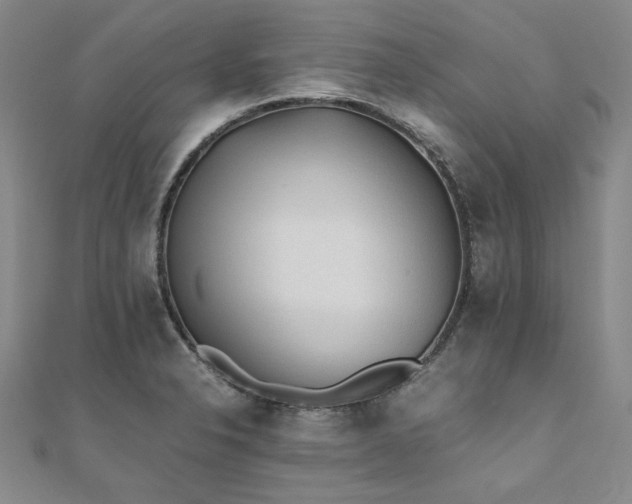 X0000111011326200906191603
