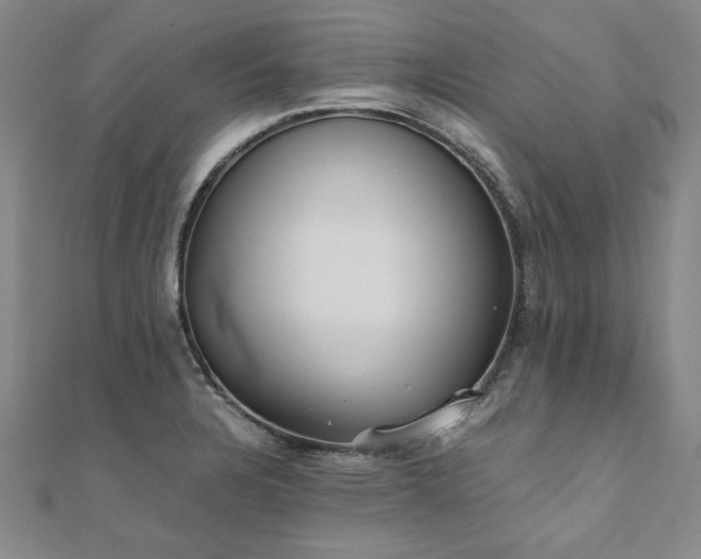 X0000111011328200906191603