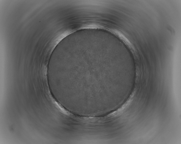 X0000111011329200906191603